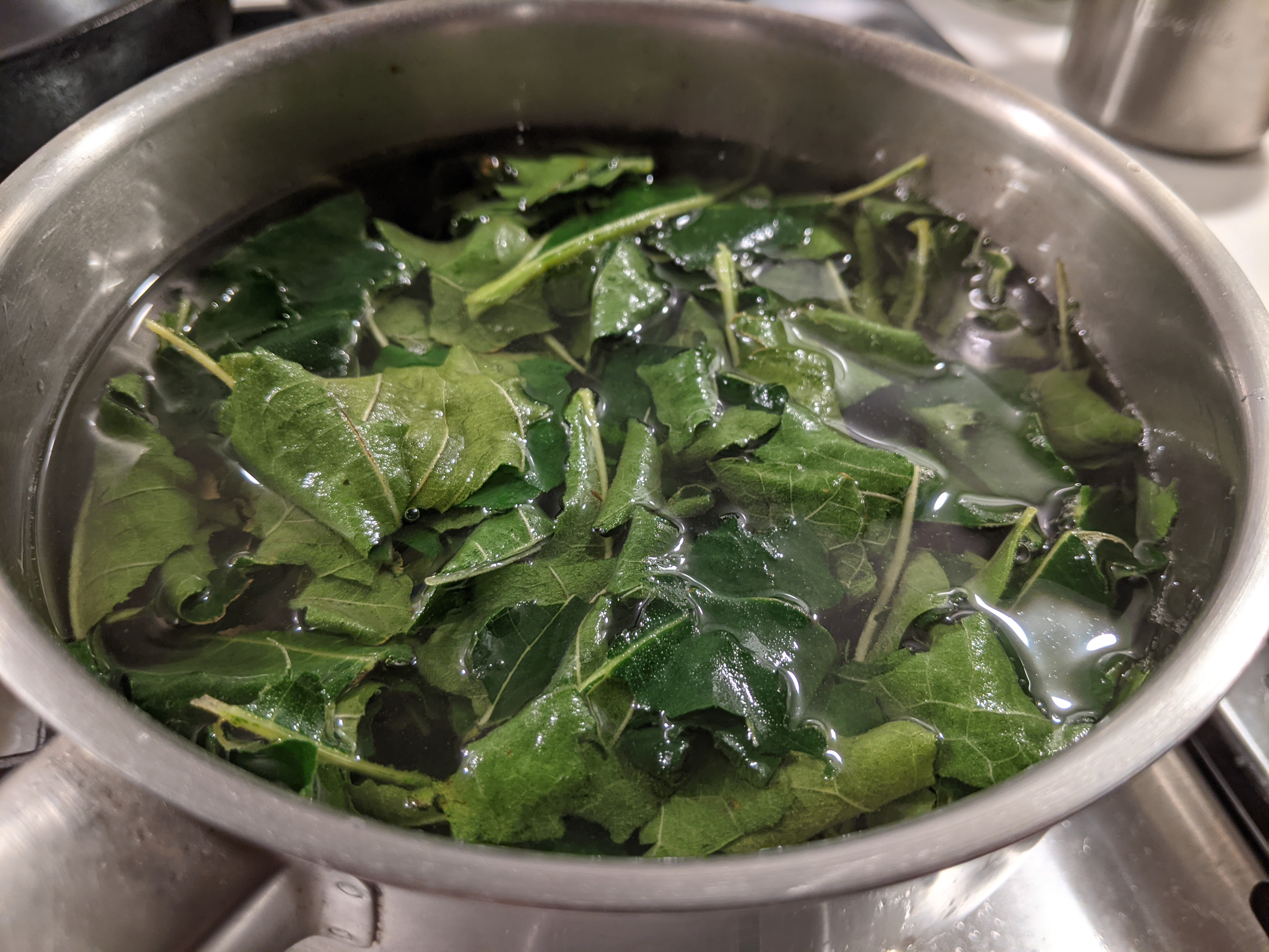 An image of torn fig leaves steeping in a pot of syrup on the stove