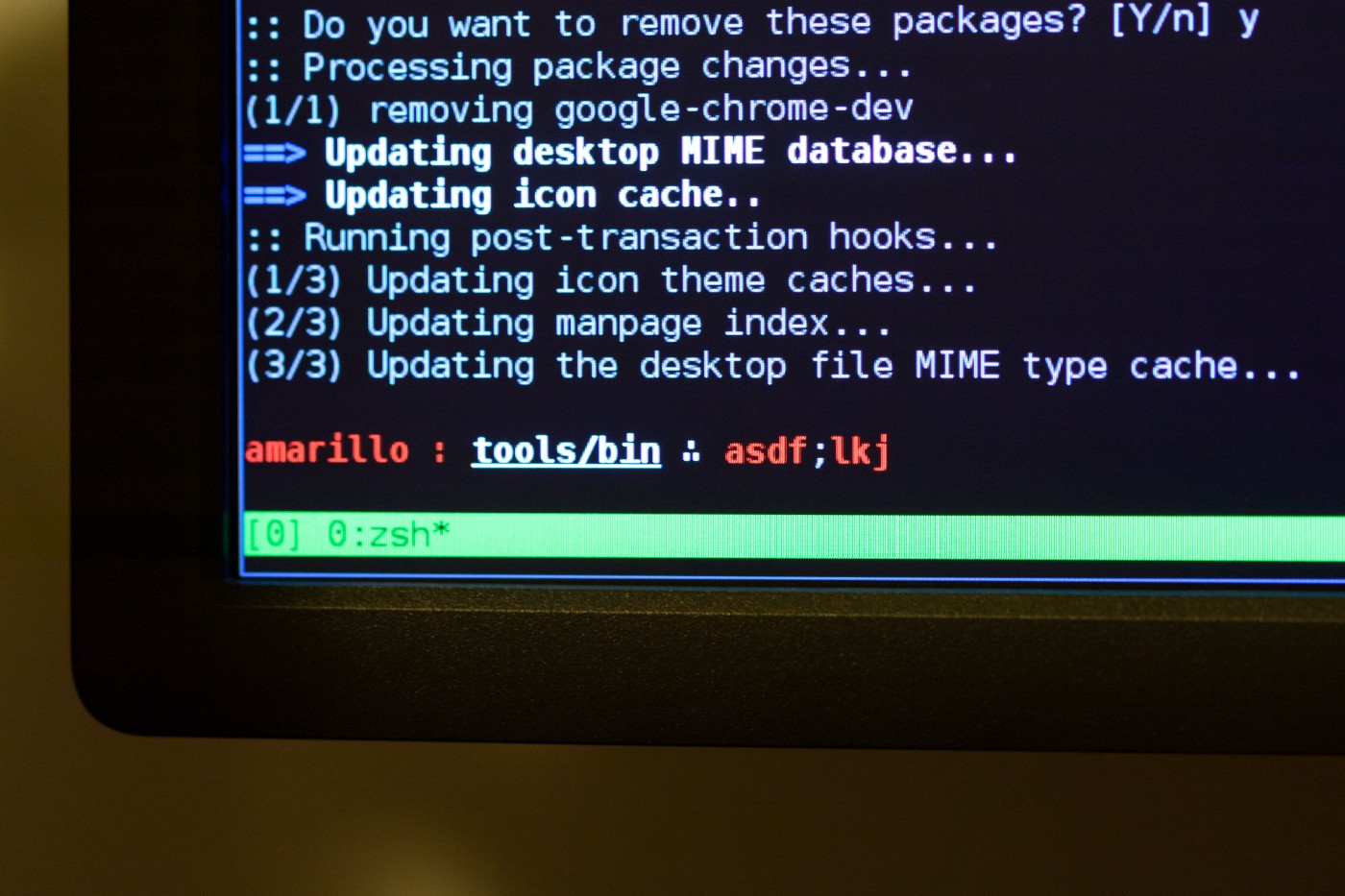 A macro image of a computer screen opened to a terminal. There are some random letters at the prompt.